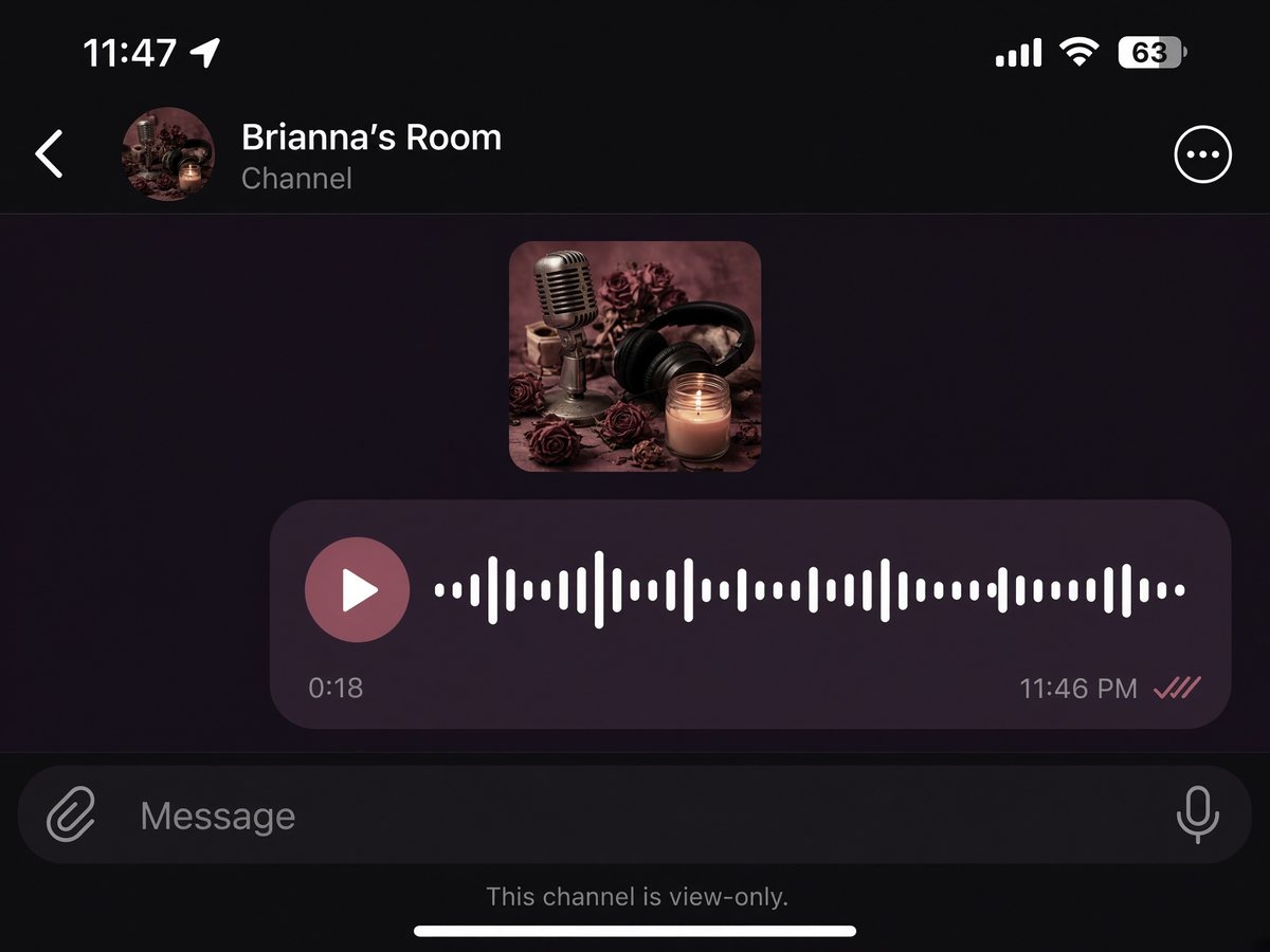 Phone screenshot of a Telegram voice note with a waveform in a dark chat.